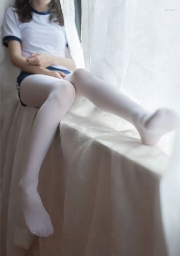 妖狐苏妲己
