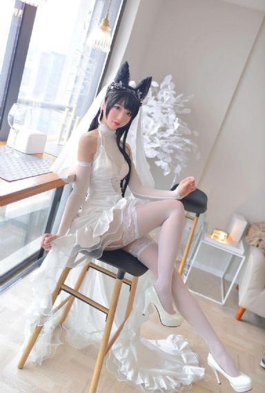 一路风雨一世情电视剧