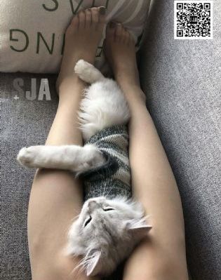 最后一夜电视剧hd免费播放