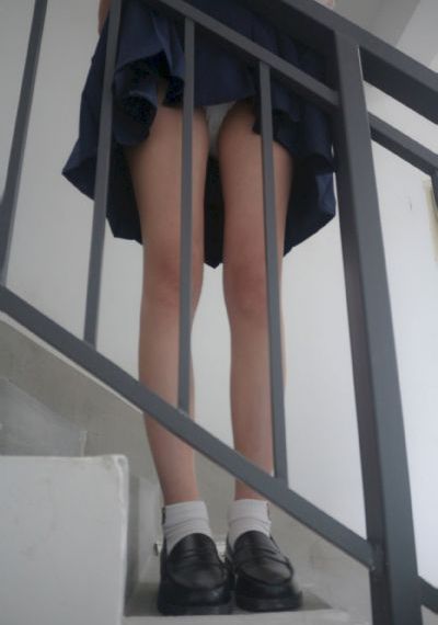 飞天视频在线观看高清