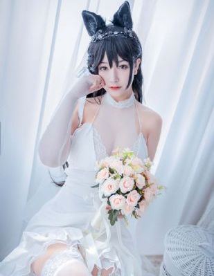 男的操女的网站