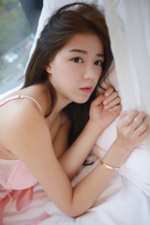 花蝴蝶高清完整