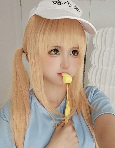 帝王攻略动漫免费观看全集