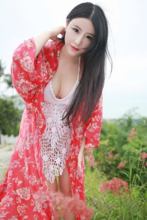白色橄榄树电视剧
