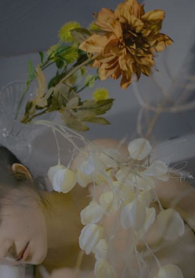 八戒八戒电影在线看免费动漫