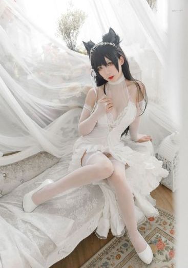 神龙星主