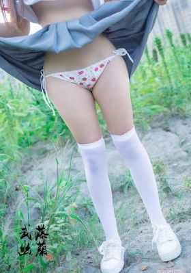 绿蔷薇 电视剧