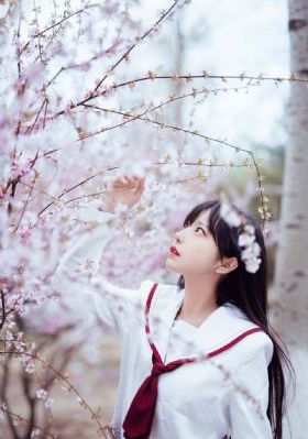 沧元图第二季在线观看