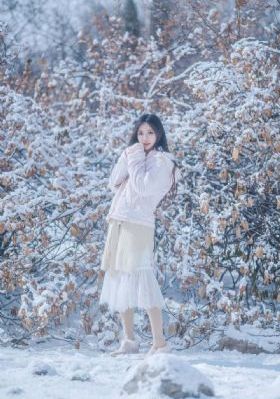 大秦赋全集免费完整版